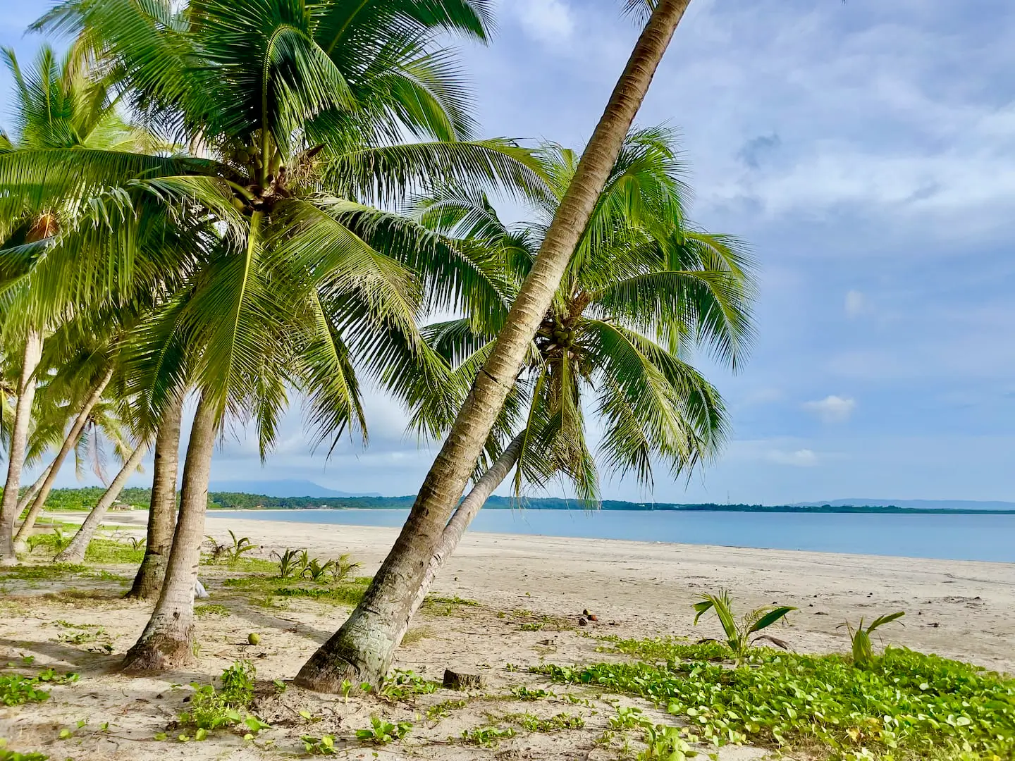 Rizal Beach
