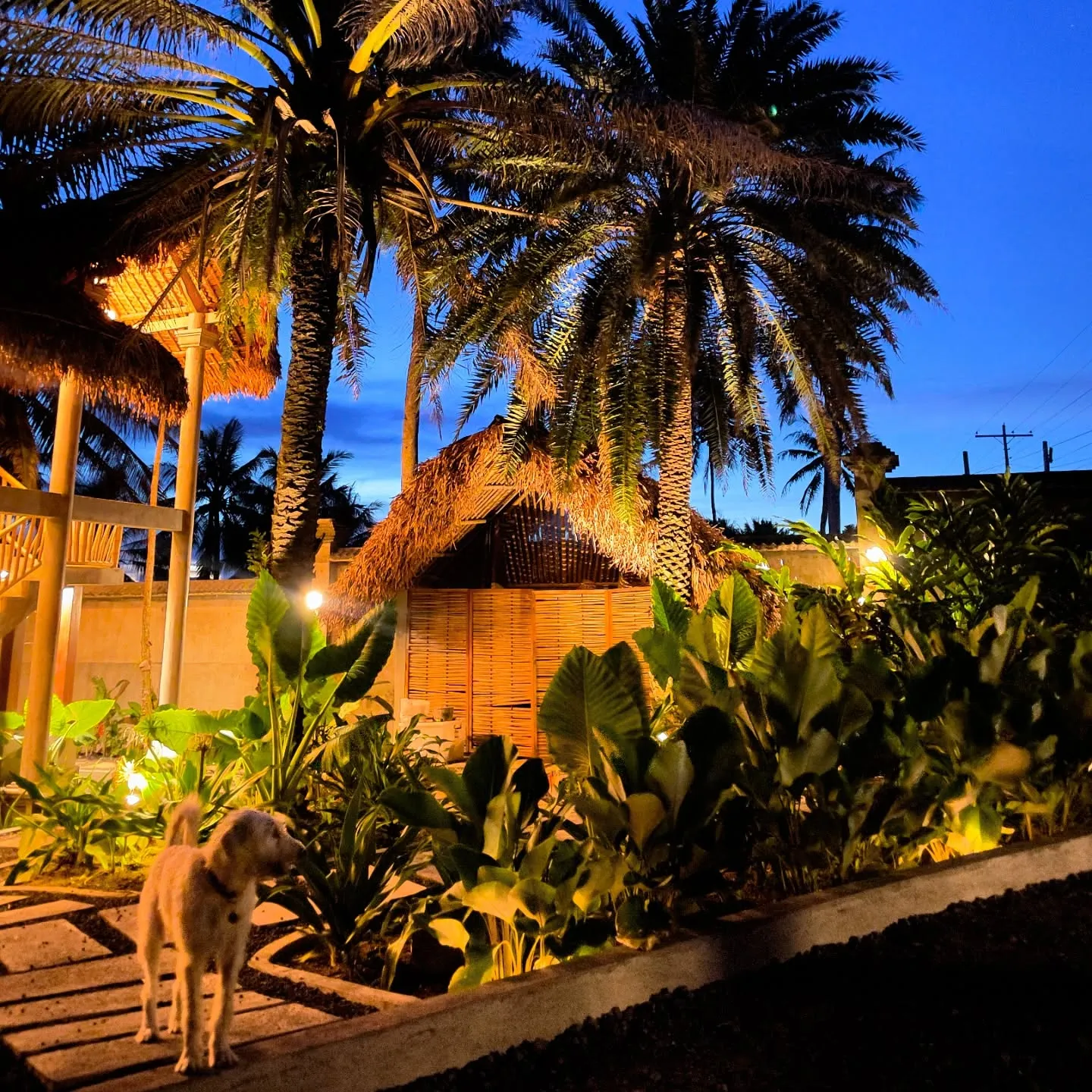 Baia retreat venue at night