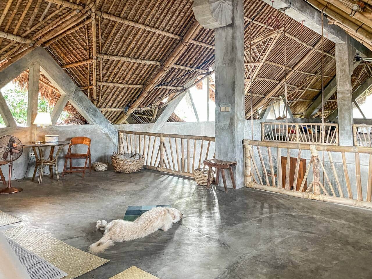 Turingan Loft open